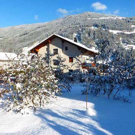 Fewo Lechner Daire Aschau Im Zillertal Dış mekan fotoğraf