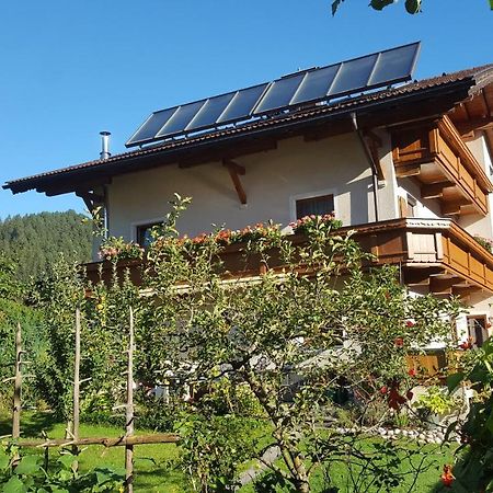 Fewo Lechner Daire Aschau Im Zillertal Dış mekan fotoğraf