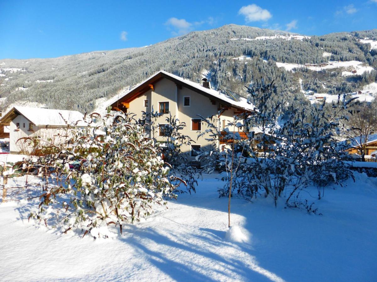Fewo Lechner Daire Aschau Im Zillertal Dış mekan fotoğraf