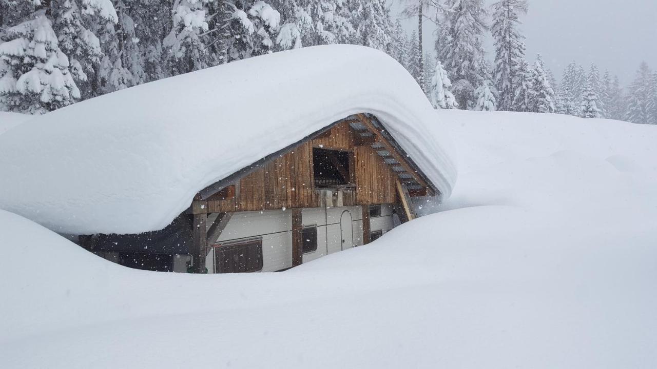 Fewo Lechner Daire Aschau Im Zillertal Dış mekan fotoğraf