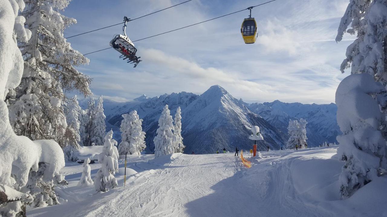Fewo Lechner Daire Aschau Im Zillertal Dış mekan fotoğraf