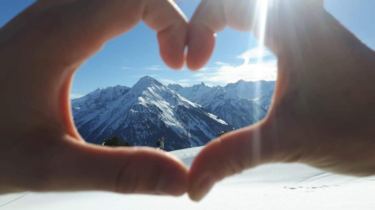 Fewo Lechner Daire Aschau Im Zillertal Dış mekan fotoğraf