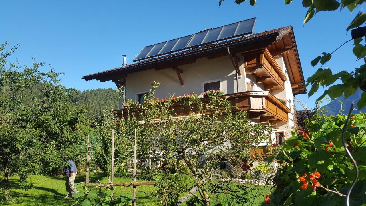 Fewo Lechner Daire Aschau Im Zillertal Dış mekan fotoğraf