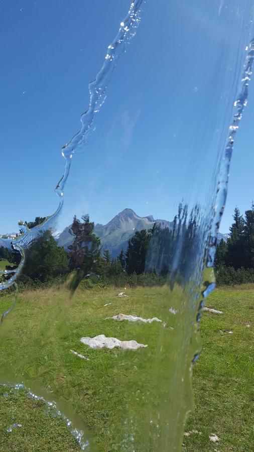 Fewo Lechner Daire Aschau Im Zillertal Dış mekan fotoğraf