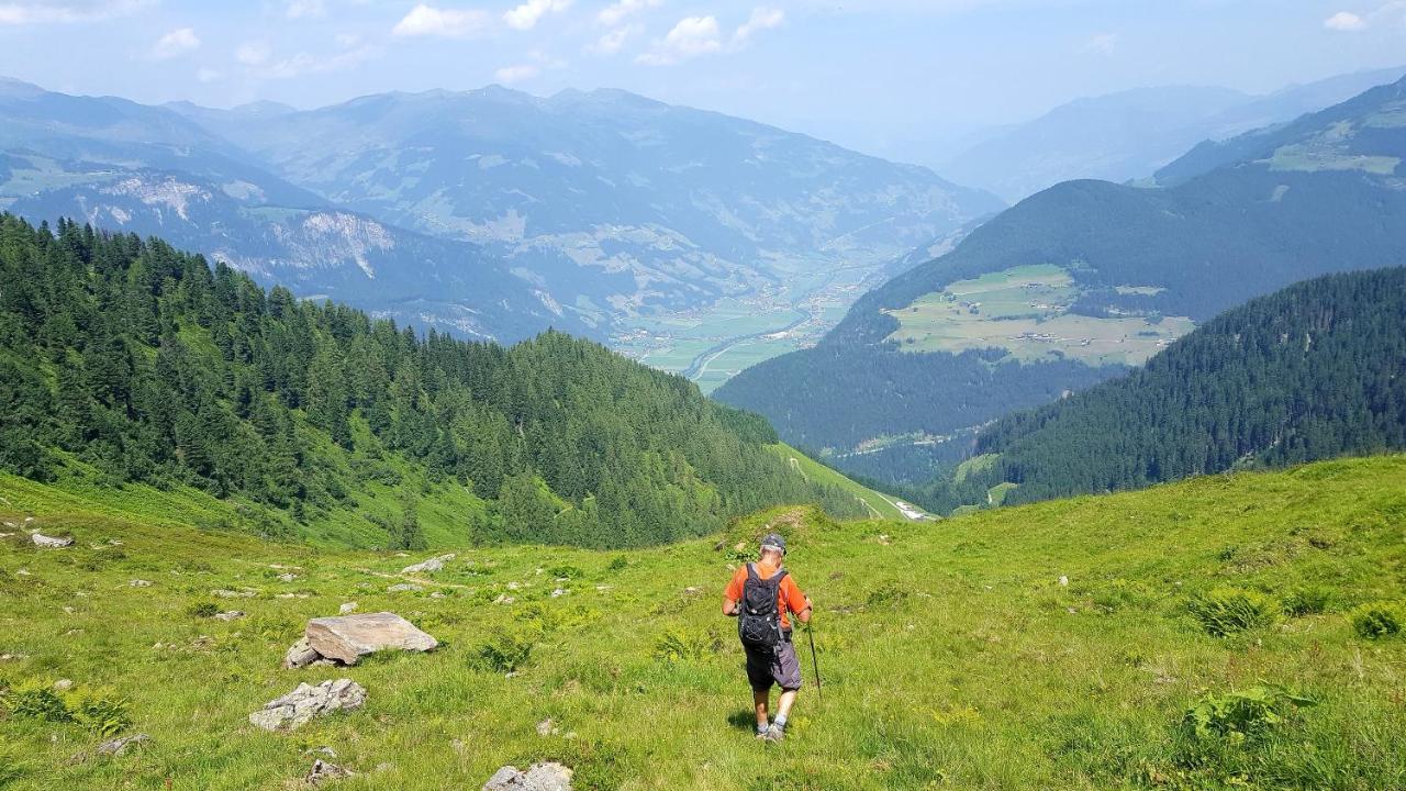 Fewo Lechner Daire Aschau Im Zillertal Dış mekan fotoğraf